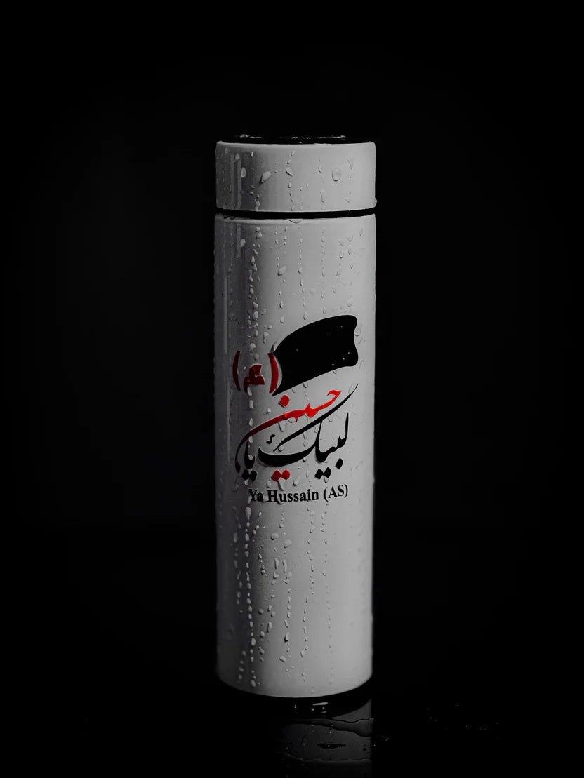 Temperature Water Bottle
