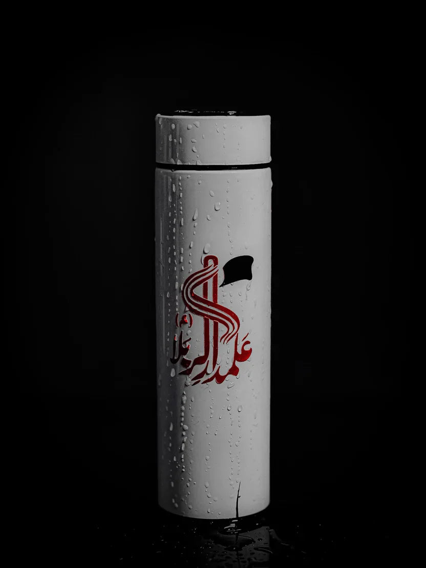 Temperature Water Bottle